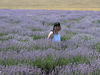 Porn camshow porn AvroraFlower
