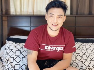 Shows hd webcam AxleGrey