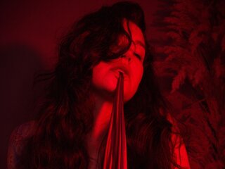 Xxx free livejasmin.com LiaVelvet